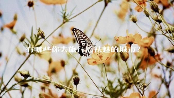 有哪些你去旅行后祛魅的城市？