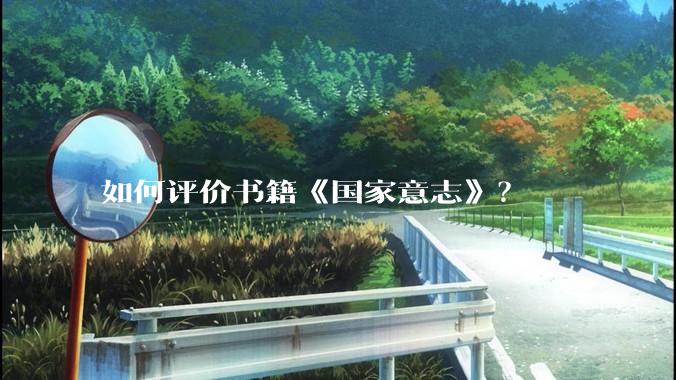 如何评价书籍《国家意志》？