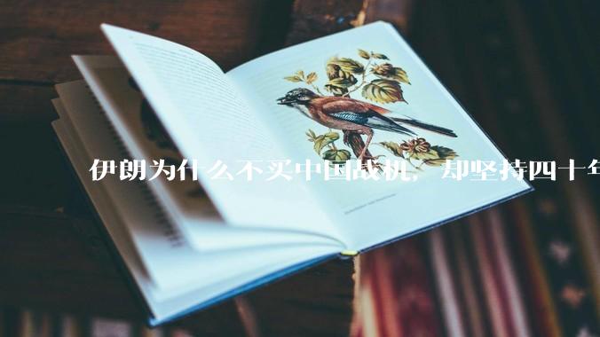 伊朗为什么不买中国战机，却坚持四十年用老旧的苏联米格29、美国F14雄猫战斗机?