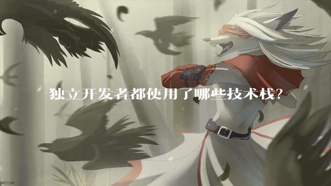独立开发者都使用了哪些技术栈？