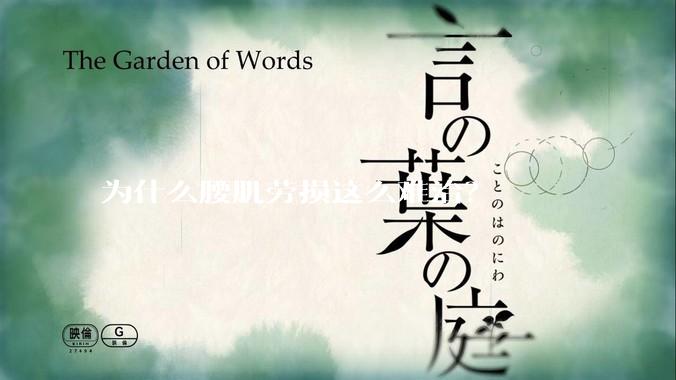 为什么腰肌劳损这么难治？
